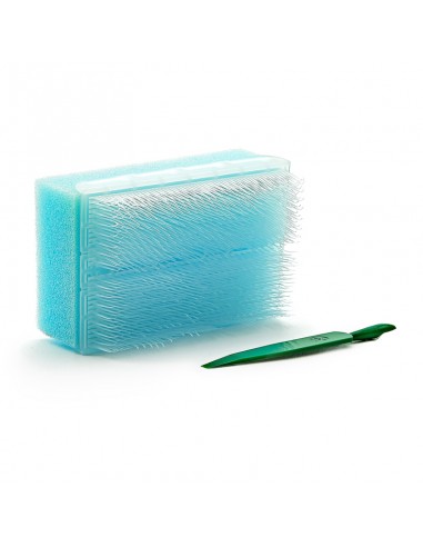 Surgical scrub brush dry with nail cleaner